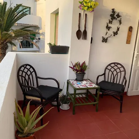 Economic Rosy Apartment *
